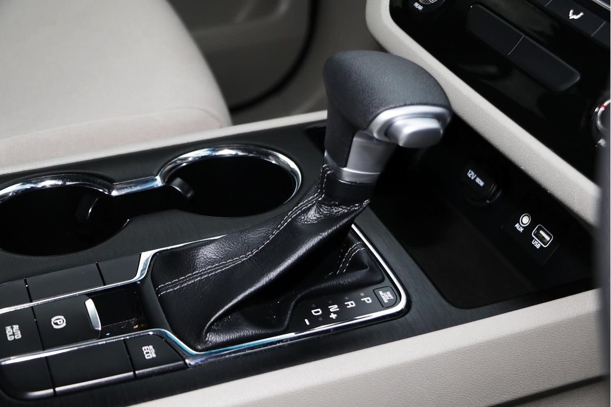 2019 Kia Carnival S YP