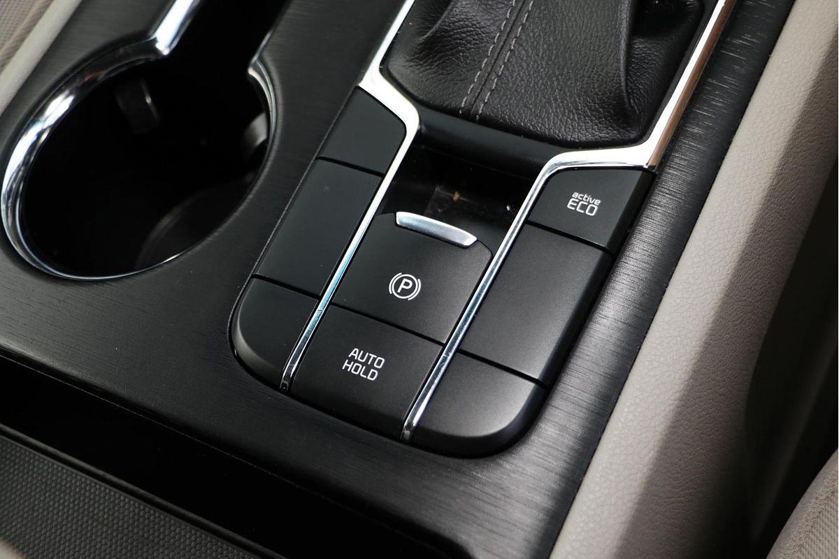 2019 Kia Carnival S YP