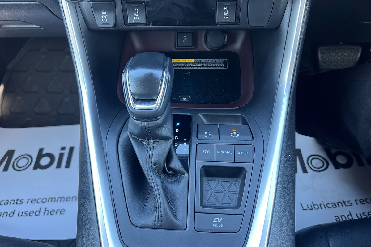 2020 Toyota RAV4 Cruiser AXAH52R