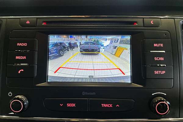2017 Kia Carnival S YP