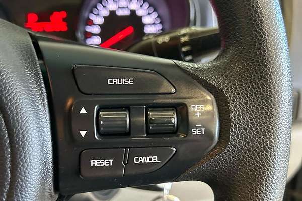 2017 Kia Carnival S YP