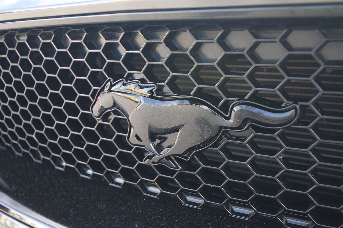 2020 Ford Mustang GT FN