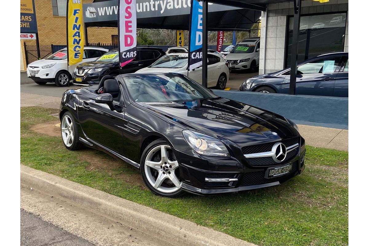 2011 Mercedes-Benz SLK-Class SLK200 BlueEFFICIENCY R172