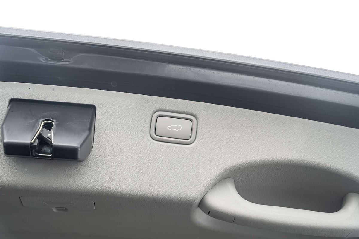 2019 Kia Carnival Platinum YP