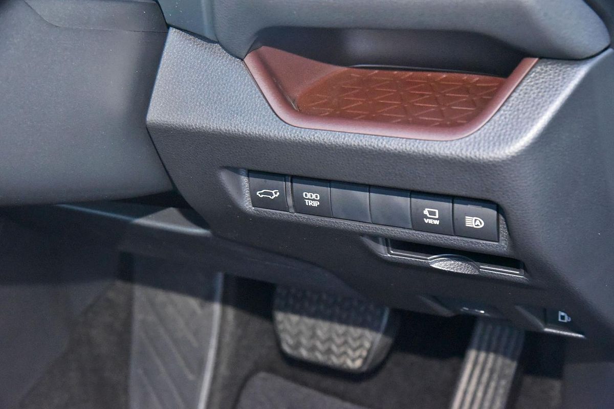 2024 Toyota RAV4 Cruiser AXAH52R