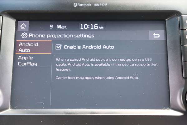 2018 Kia Carnival S YP