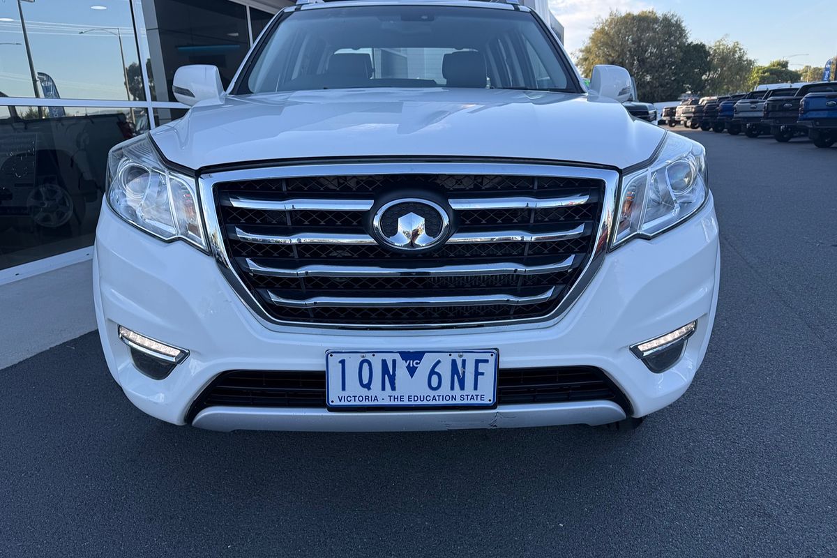 2019 GWM Steed