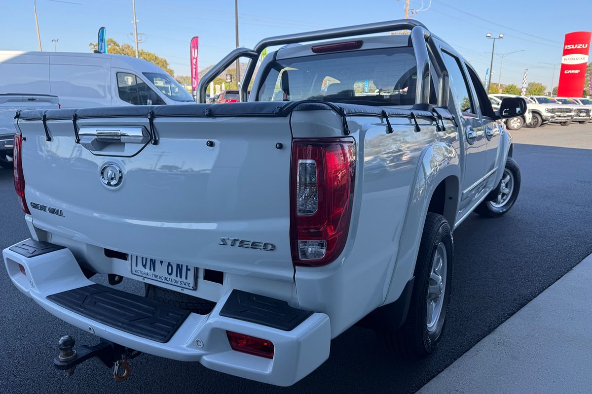 2019 GWM Steed