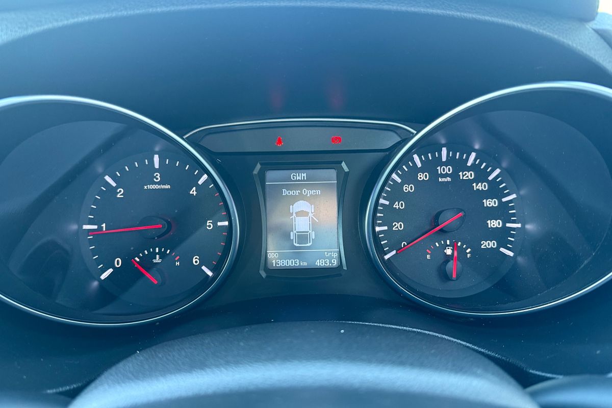 2019 GWM Steed