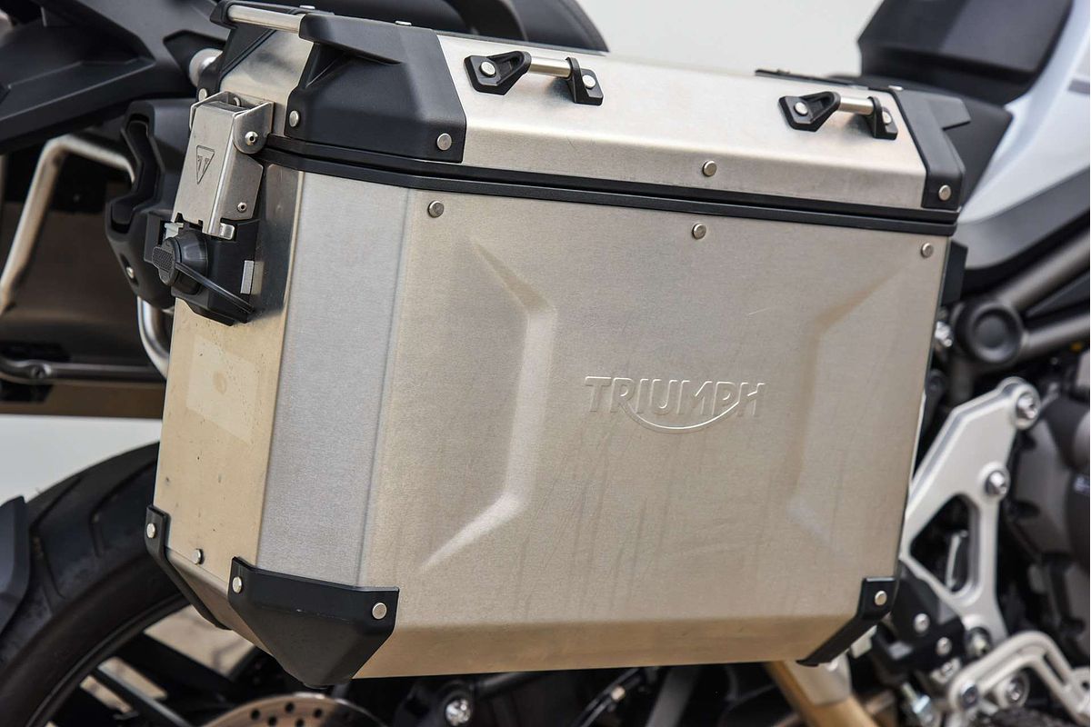 2024 Triumph Tiger