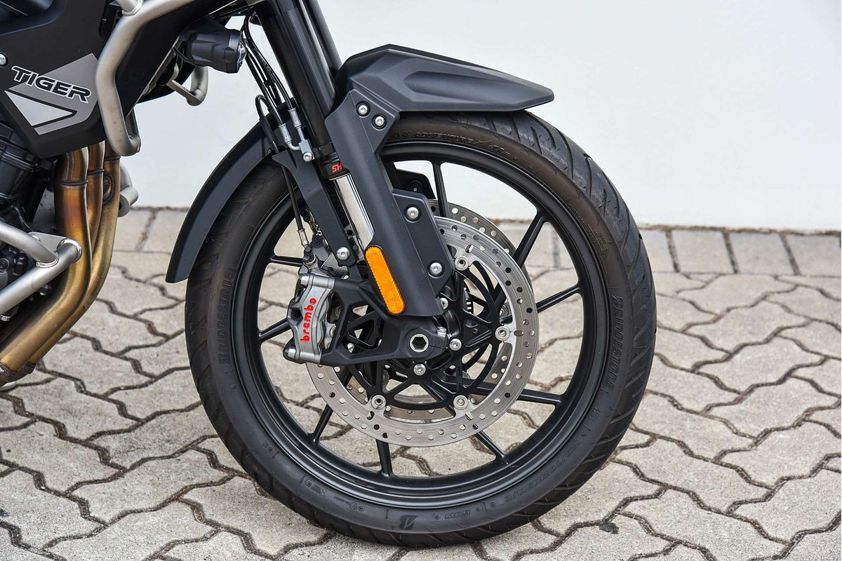 2024 Triumph Tiger