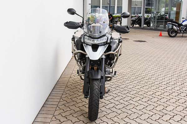 2024 Triumph Tiger