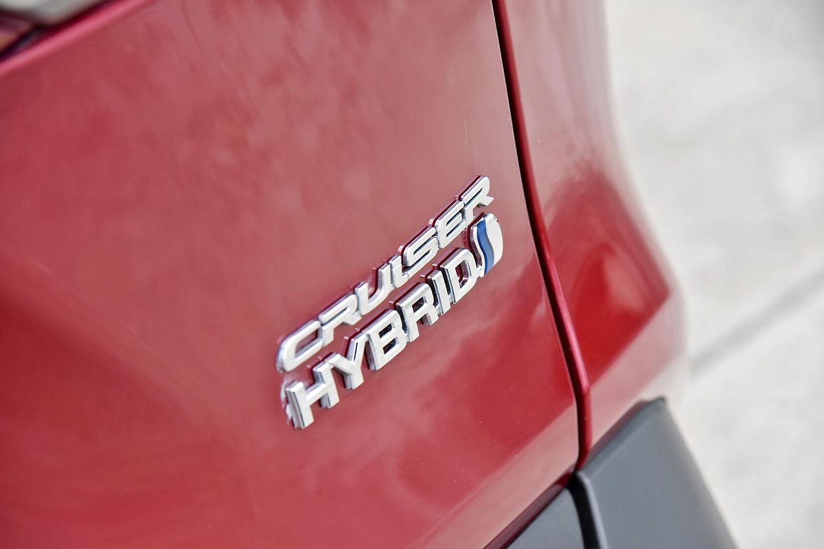 2020 Toyota RAV4 Cruiser AXAH52R