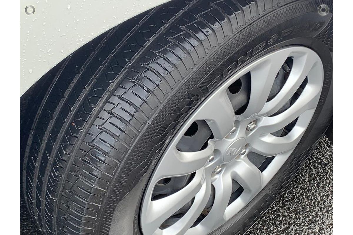 2019 Kia Carnival S YP
