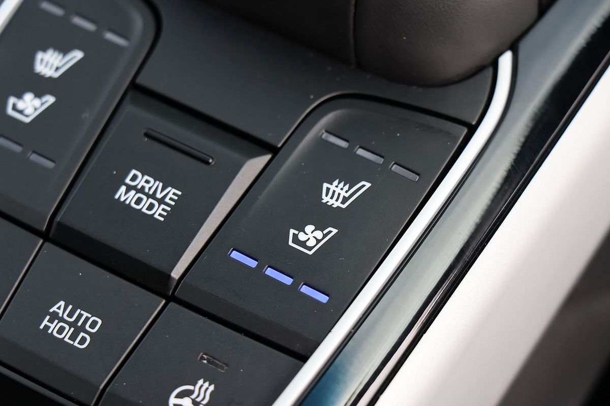 2019 Hyundai IONIQ Electric Premium AE.2