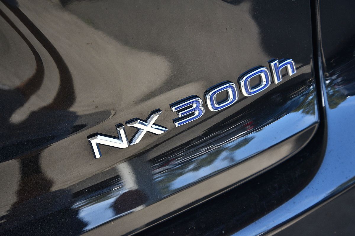2014 Lexus NX NX300h Luxury AYZ10R