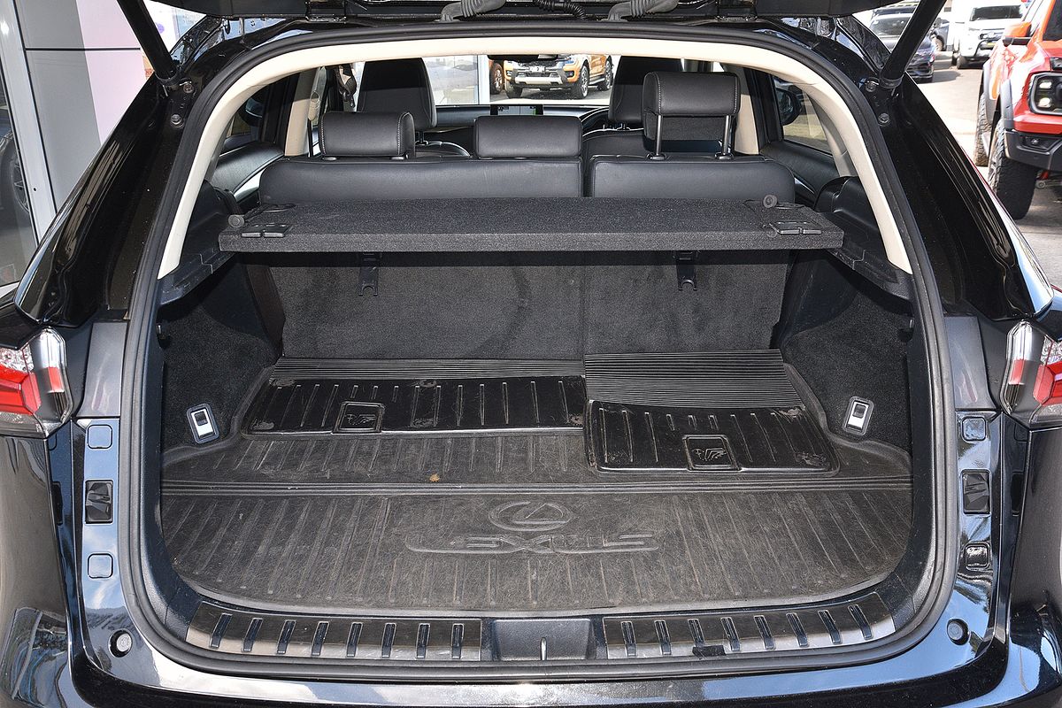 2014 Lexus NX NX300h Luxury AYZ10R