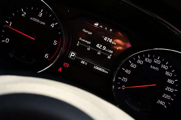 2015 Kia Carnival Platinum YP