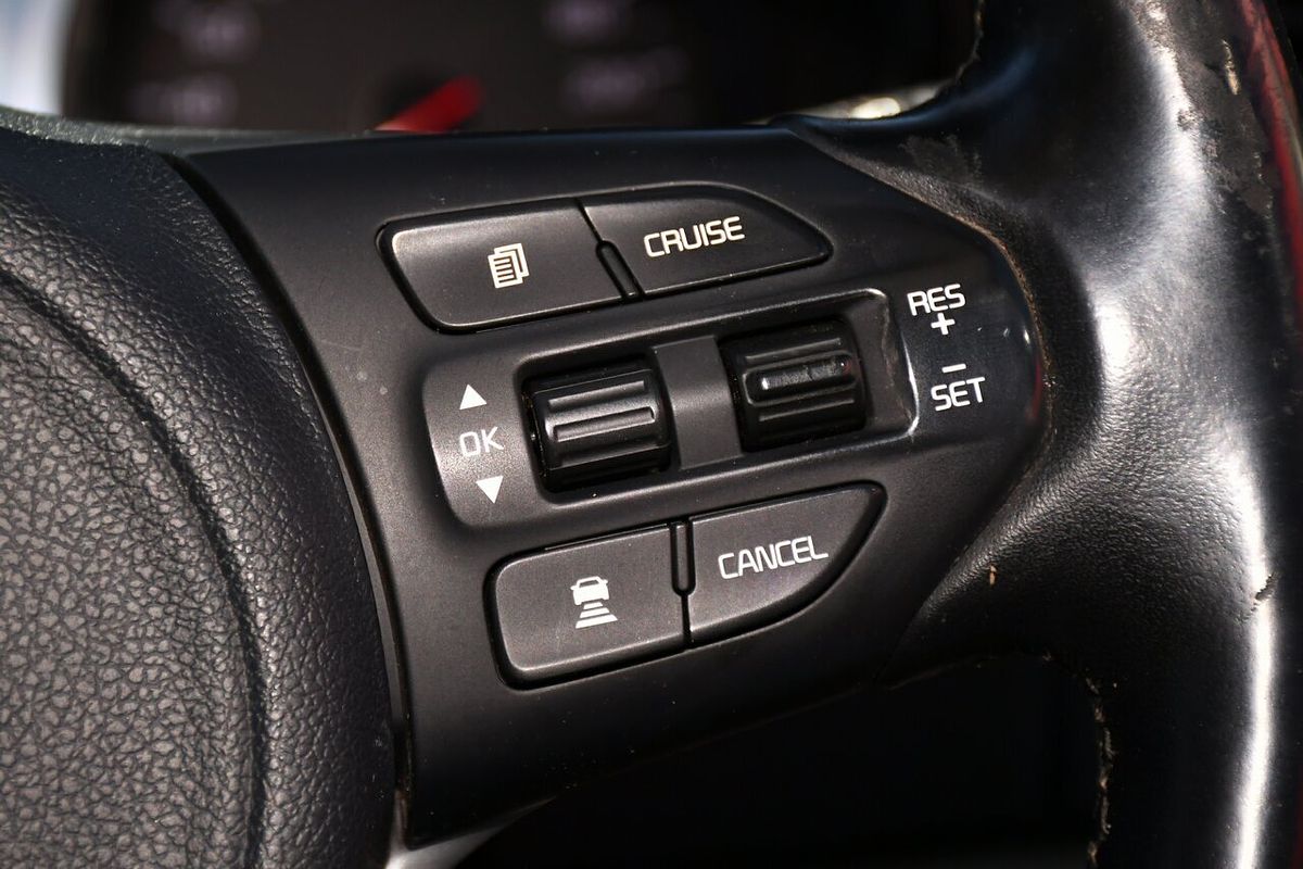 2015 Kia Carnival Platinum YP