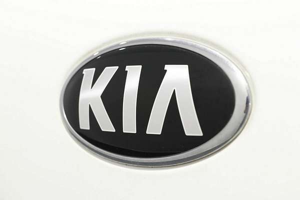 2019 Kia Carnival S YP