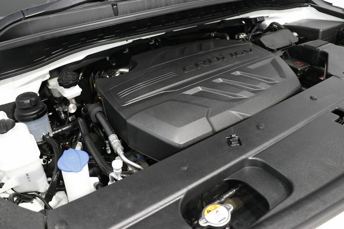 2019 Kia Carnival S YP