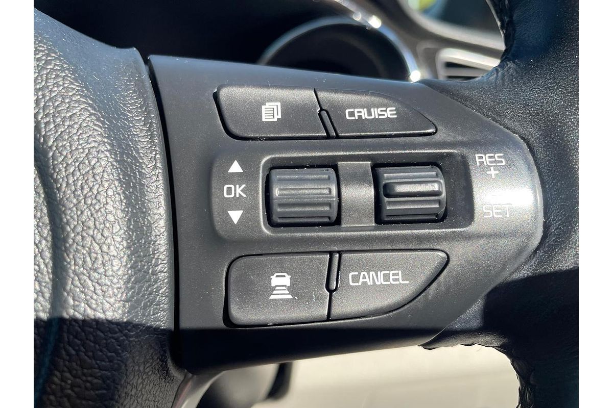 2019 Kia Carnival Platinum YP