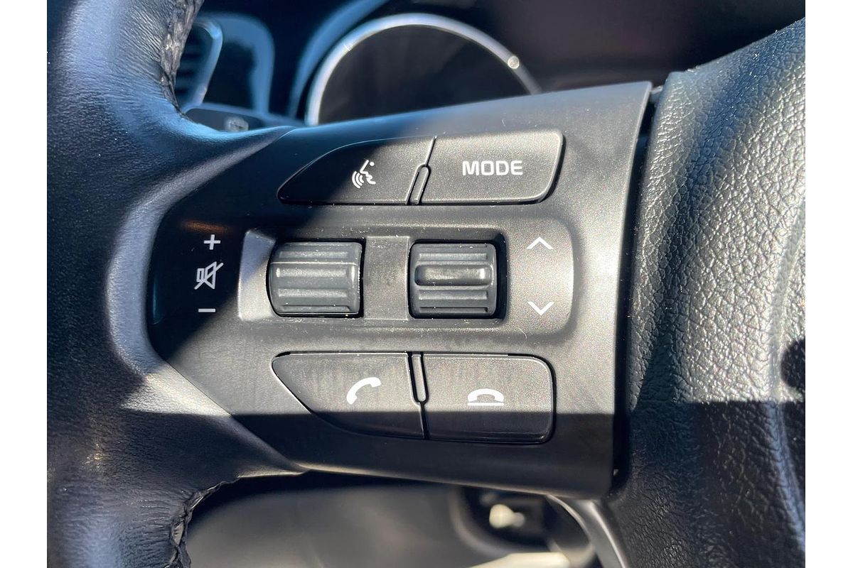2019 Kia Carnival Platinum YP