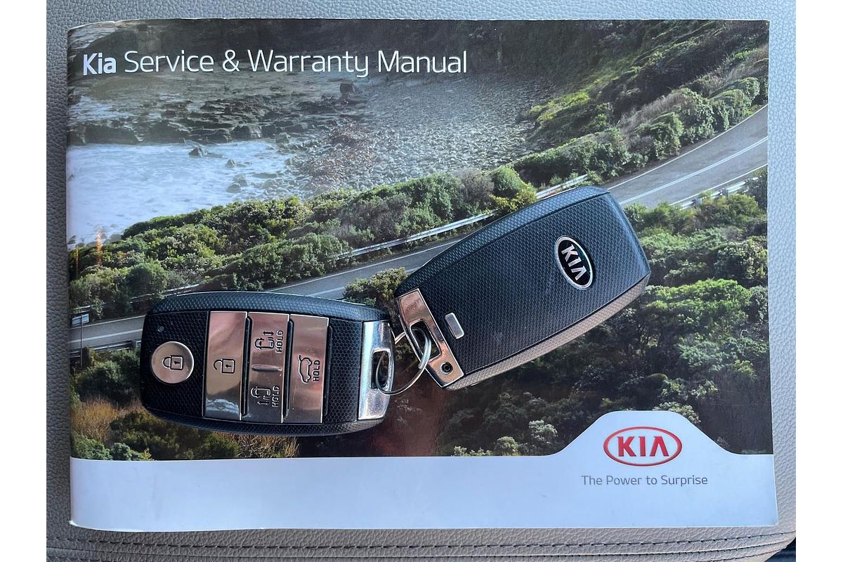 2019 Kia Carnival Platinum YP