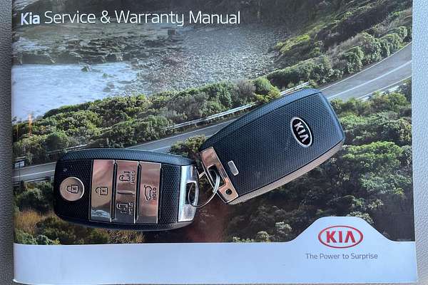 2019 Kia Carnival Platinum YP