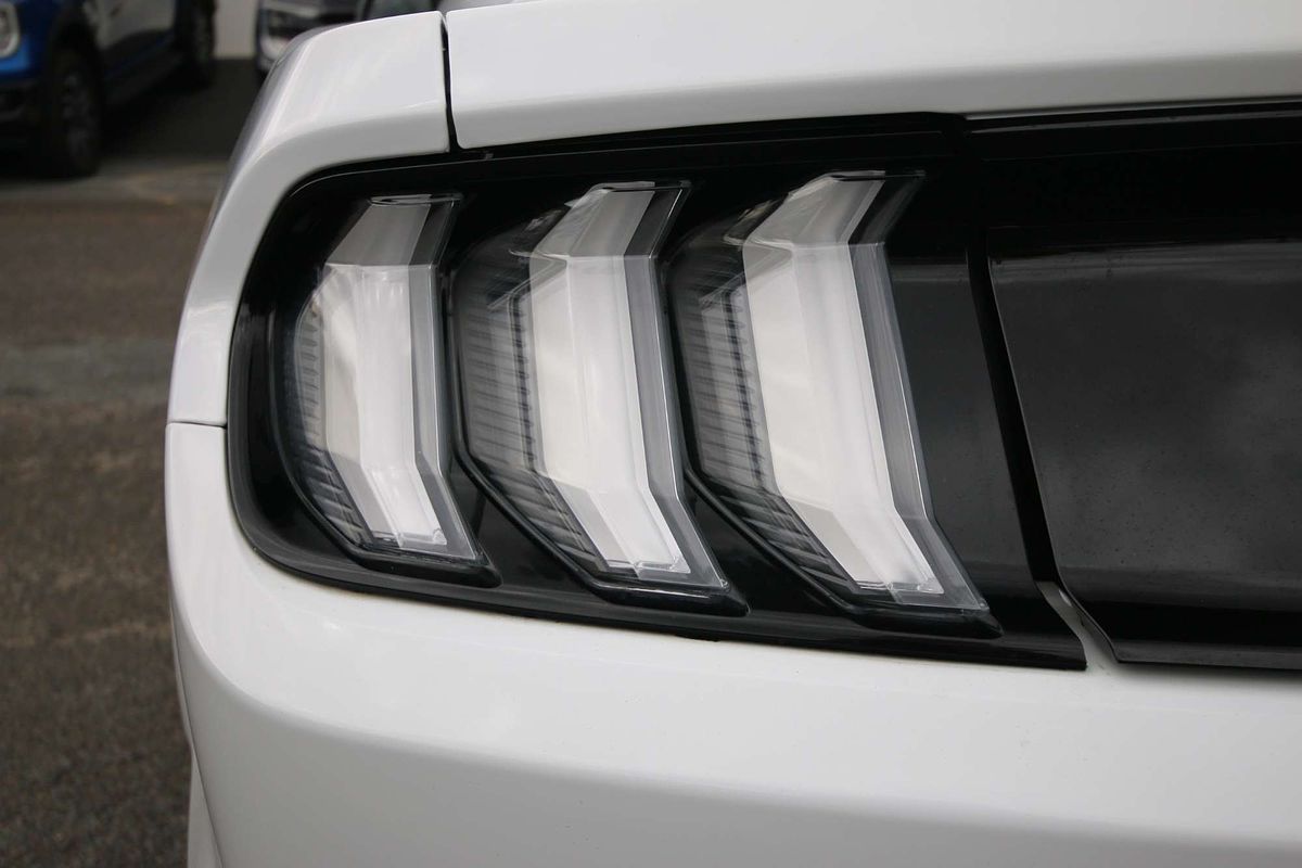 2019 Ford Mustang GT FN