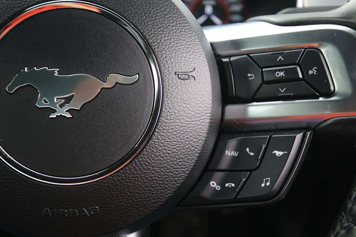 2019 Ford Mustang GT FN