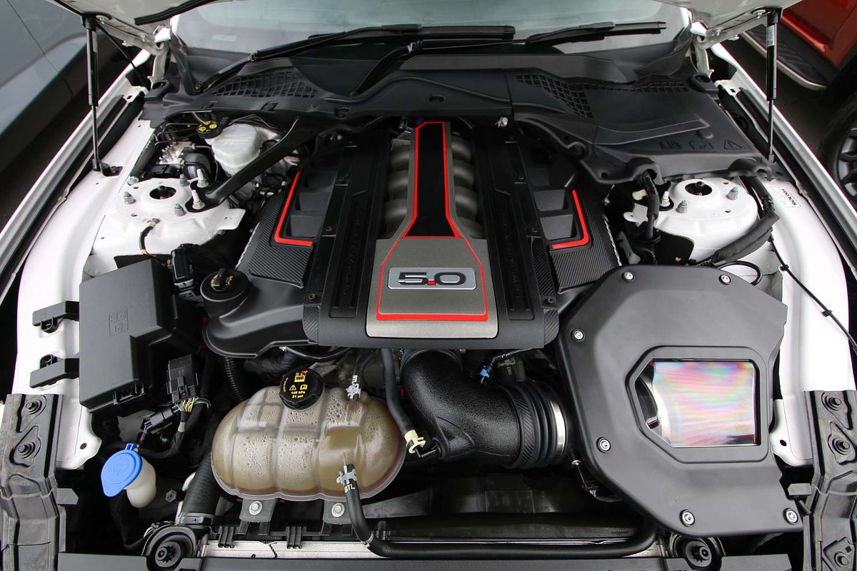 2019 Ford Mustang GT FN