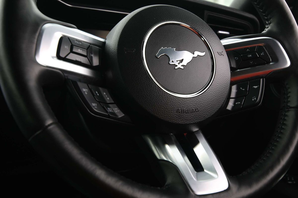 2019 Ford Mustang GT FN
