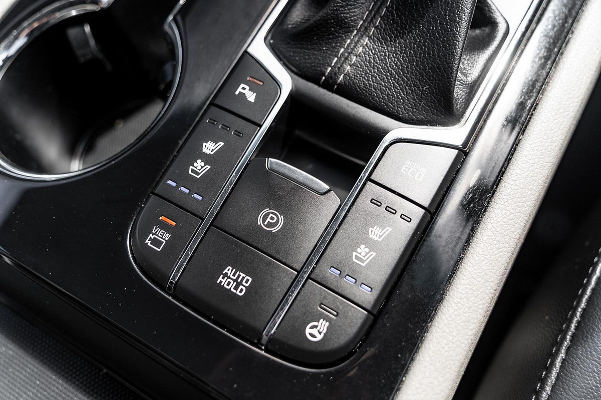 2019 Kia Carnival Platinum YP