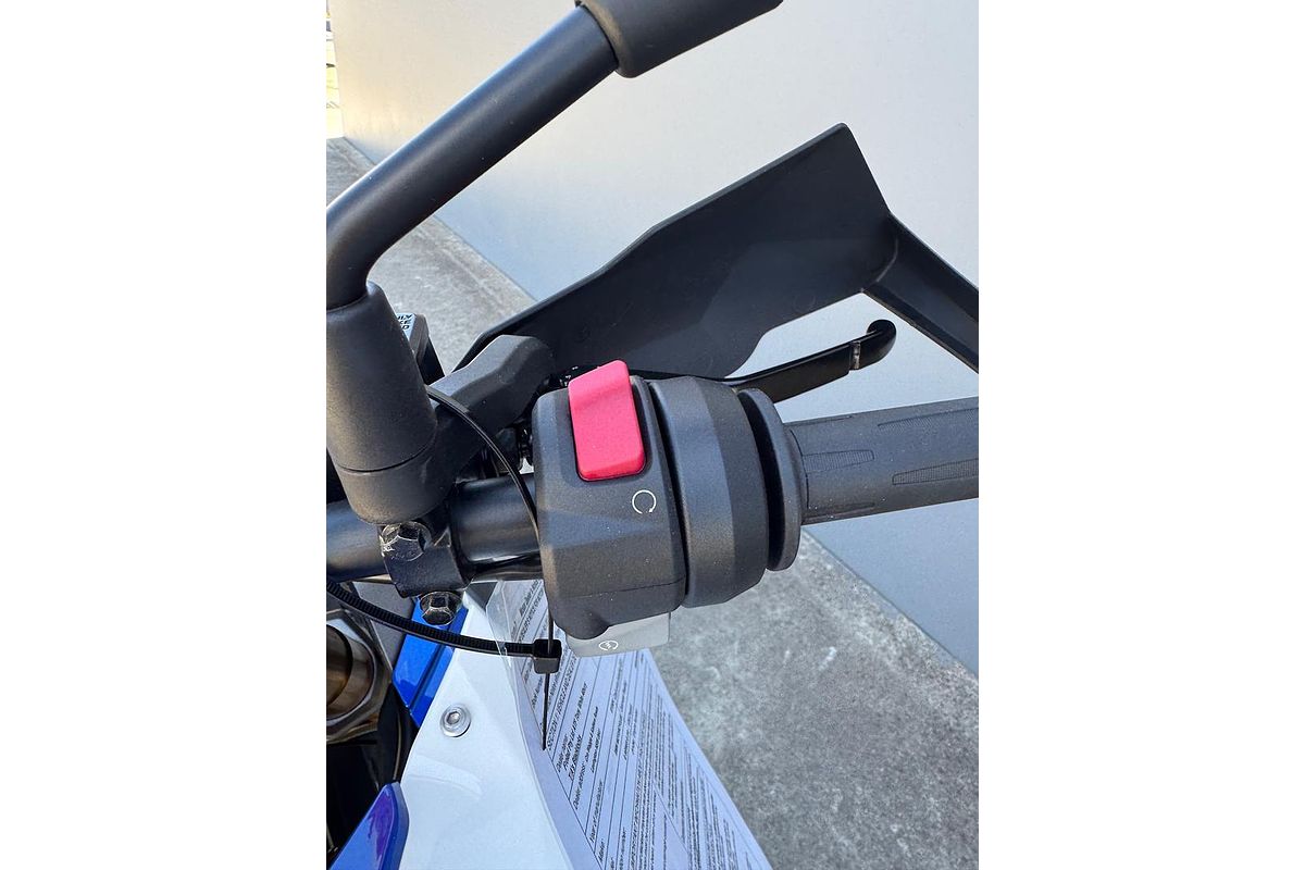 2024 BMW G 310 GS G 310