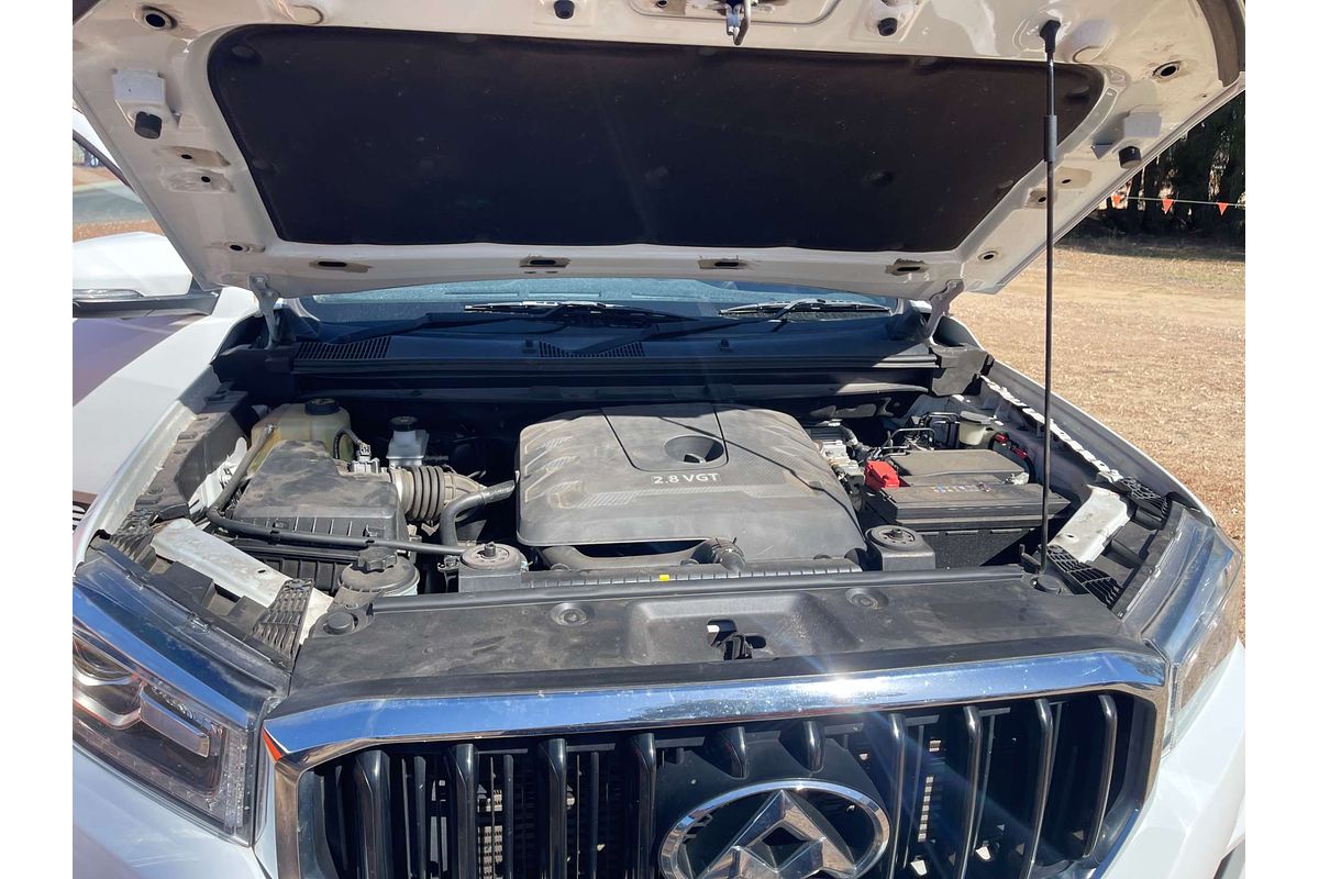 2019 LDV T60 Trailrider SK8C 4X4