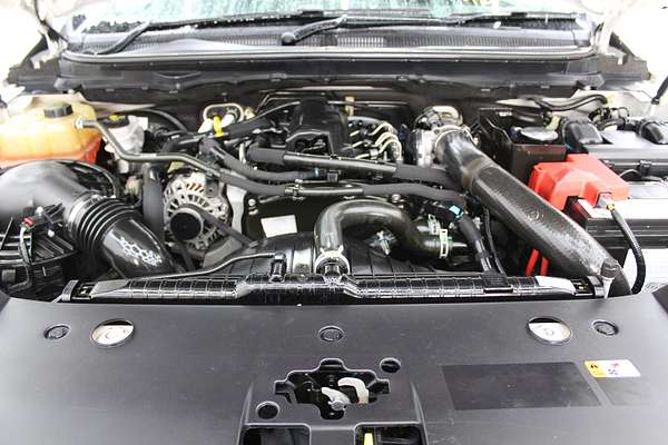 2020 Ford Ranger XL Hi-Rider PX MkIII Rear Wheel Drive