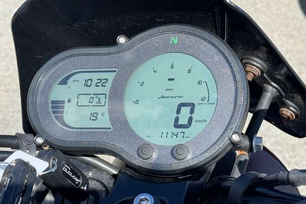 2021 Benelli LEONCINO 500
