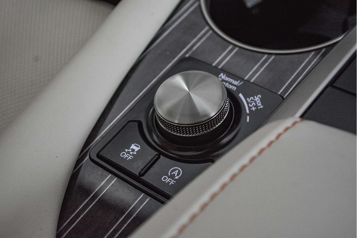 2020 Lexus RX RX300 Sports Luxury AGL20R