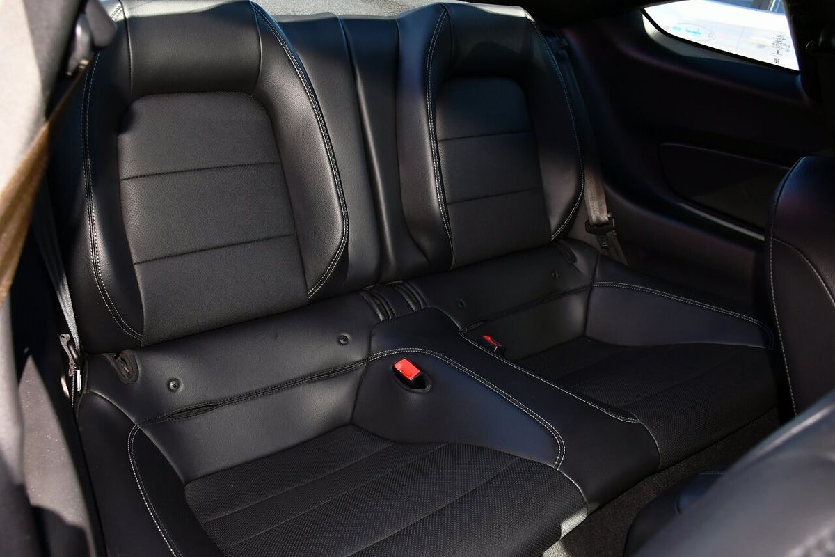 2019 Ford Mustang GT FN