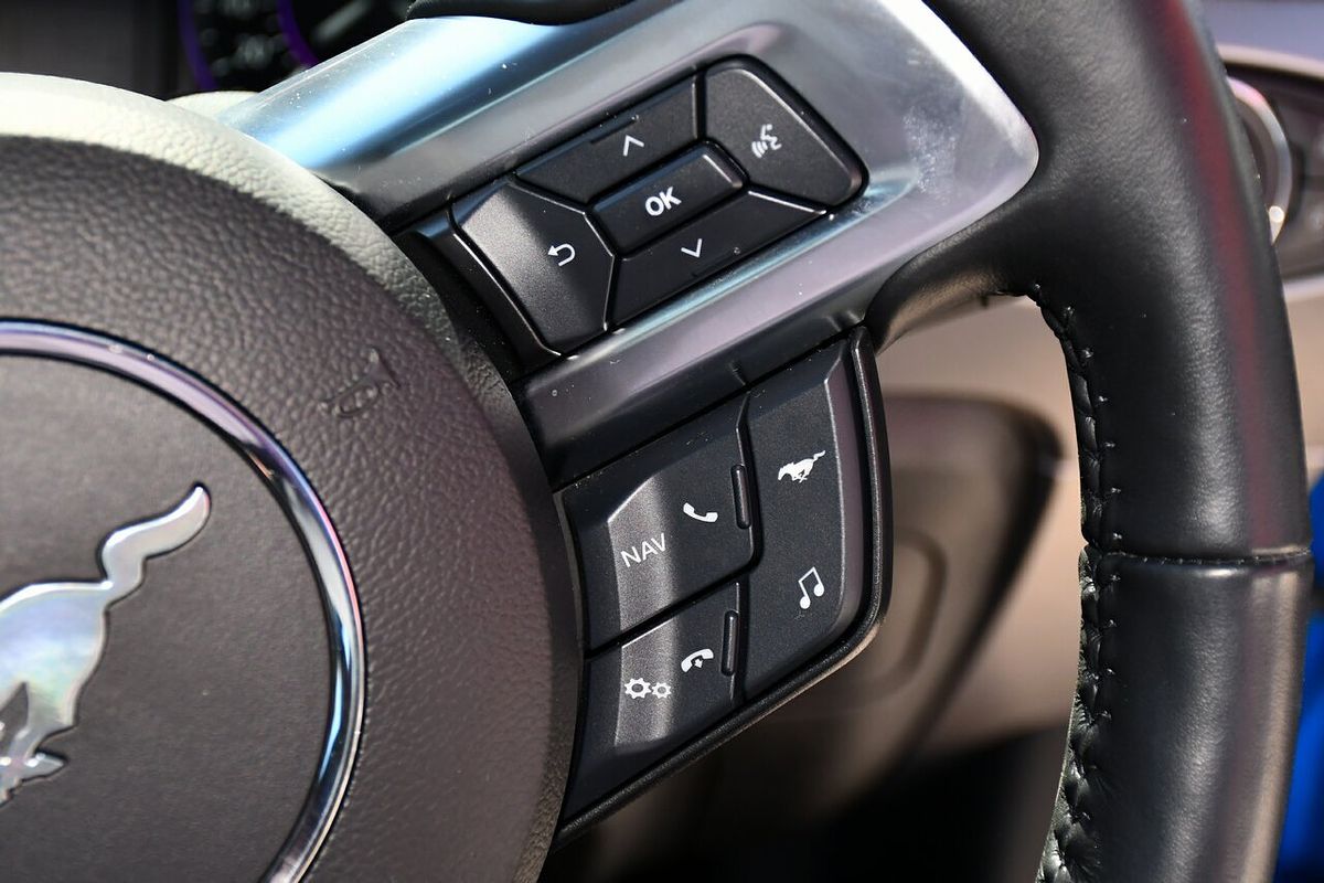 2019 Ford Mustang GT FN