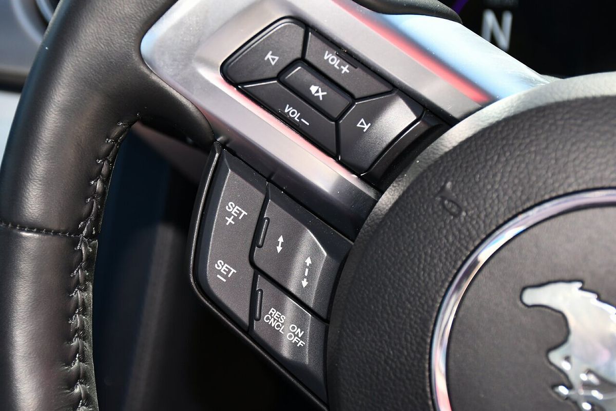 2019 Ford Mustang GT FN