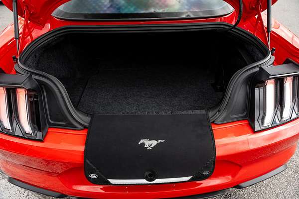 2019 Ford Mustang GT FN