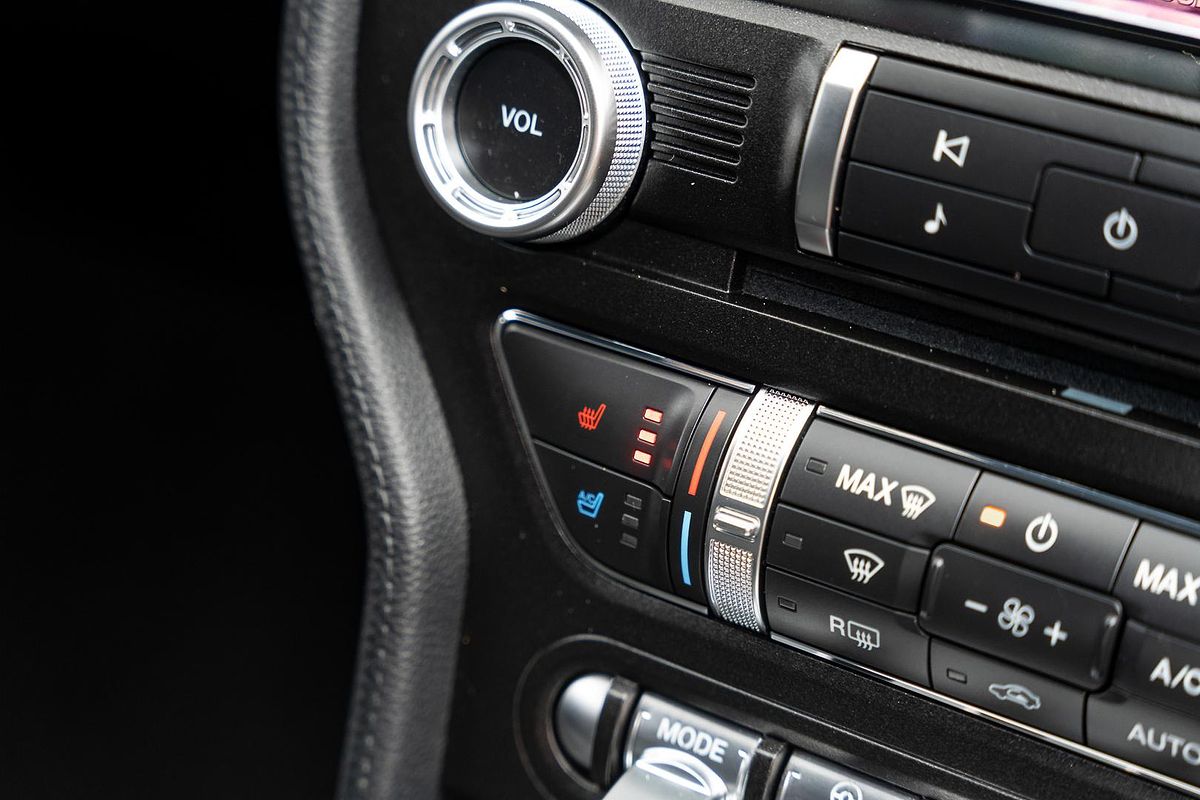 2019 Ford Mustang GT FN