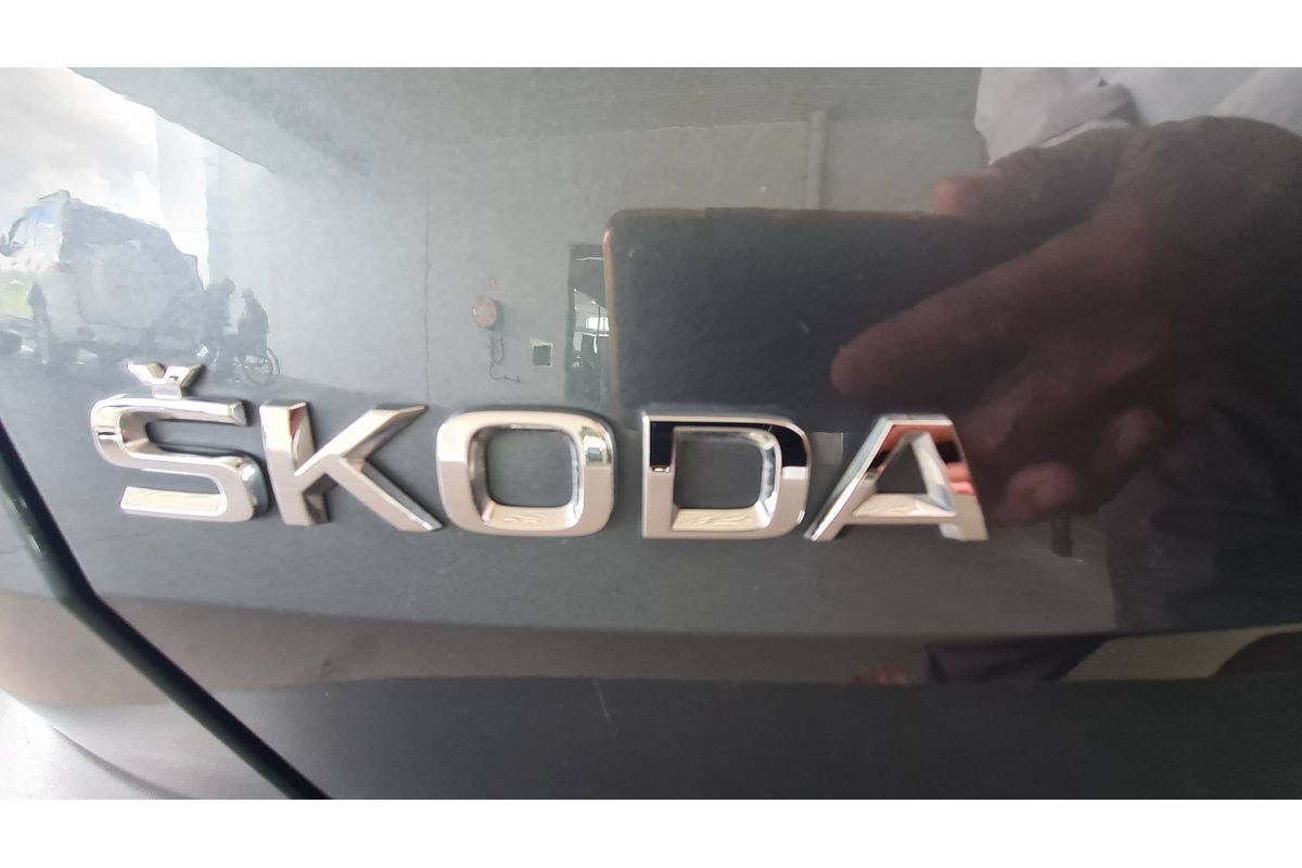 2019 SKODA Karoq 110TSI NU
