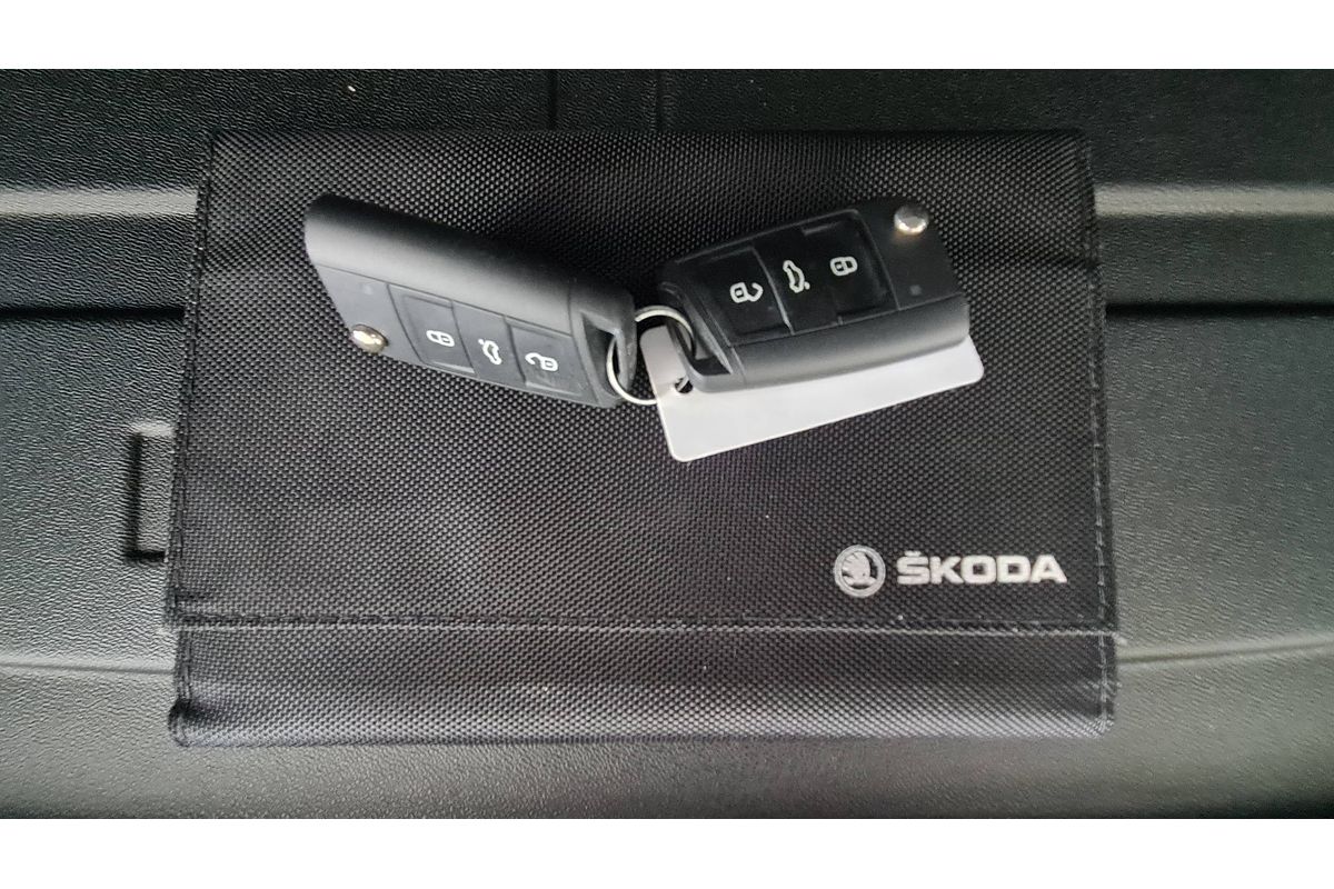 2019 SKODA Karoq 110TSI NU