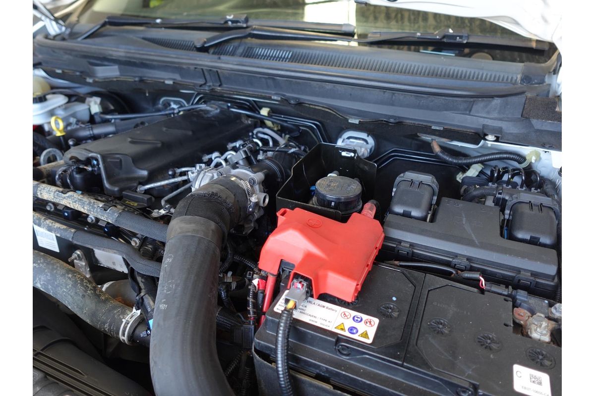 2019 Ford Ranger XL PX MkIII 4X4