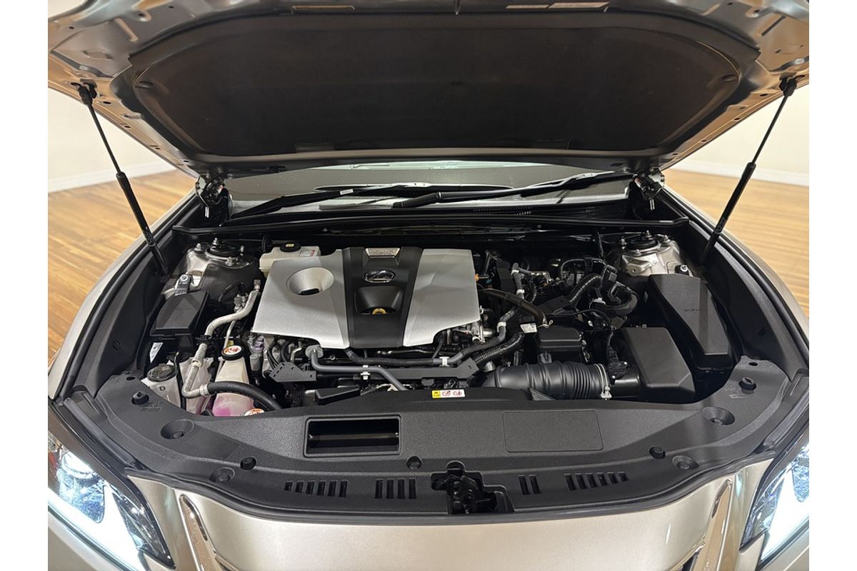 2021 Lexus ES ES300h Luxury AXZH10R