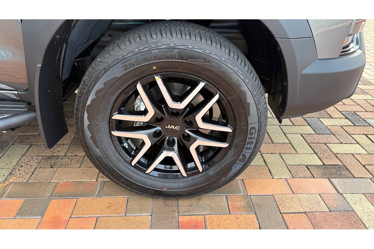 2024 JAC T9 Oasis All Wheel Drive