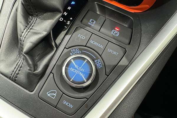 2019 Toyota RAV4 Edge AXAA54R